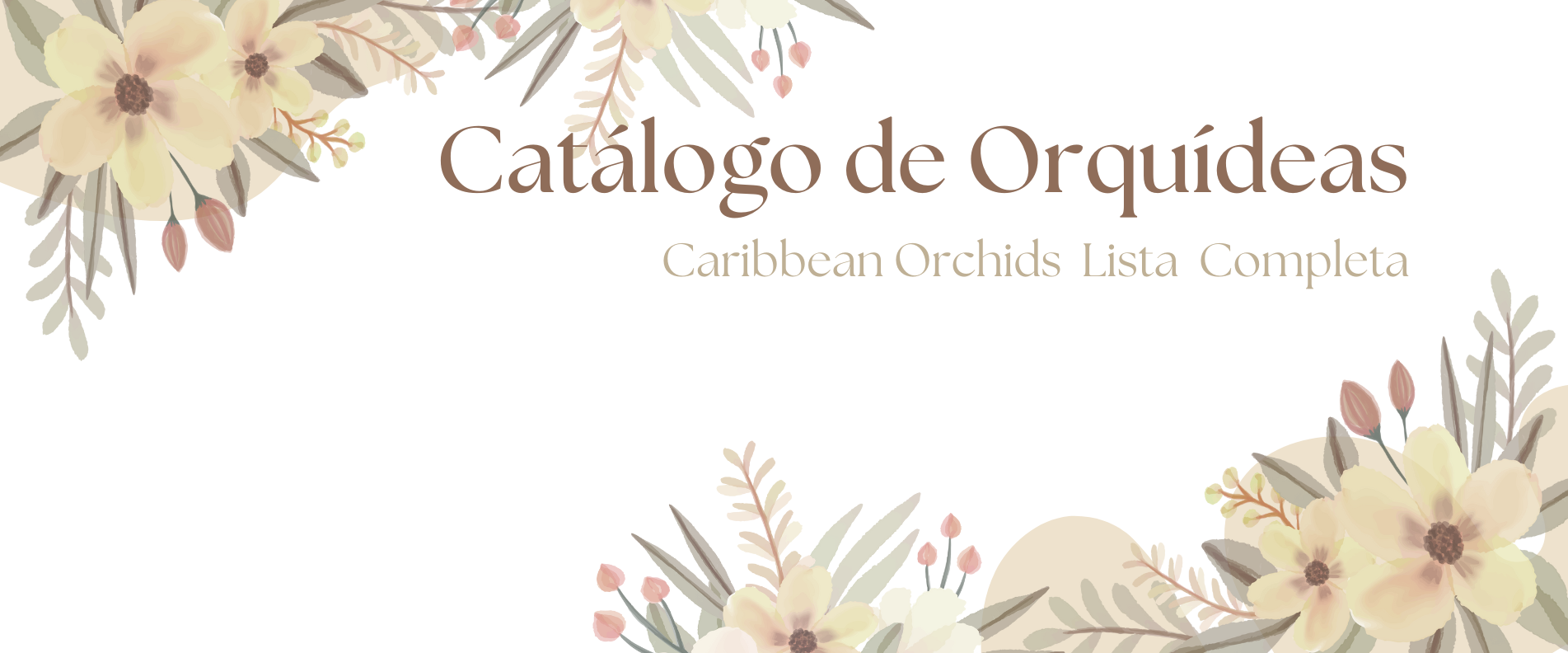 catalogo_orquidea
